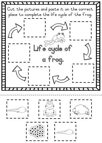 grade 3 life skills term 2 juffrou 911