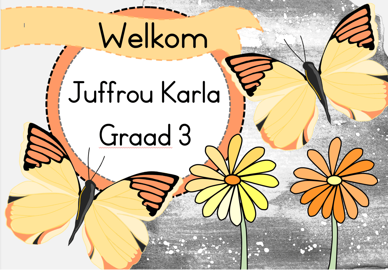 Skoenlapper Klaskamertema PAKKET - Juffrou 911